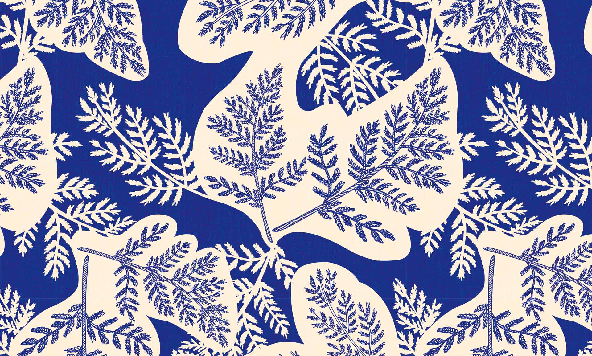 đż DĂ©clinaison Bio autour d'un motif exclusif !