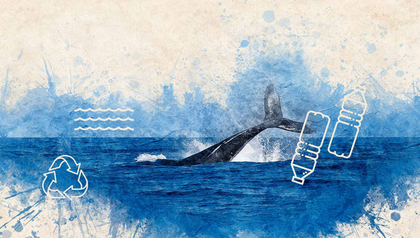 19 février : journée de la protection et la défense des baleines