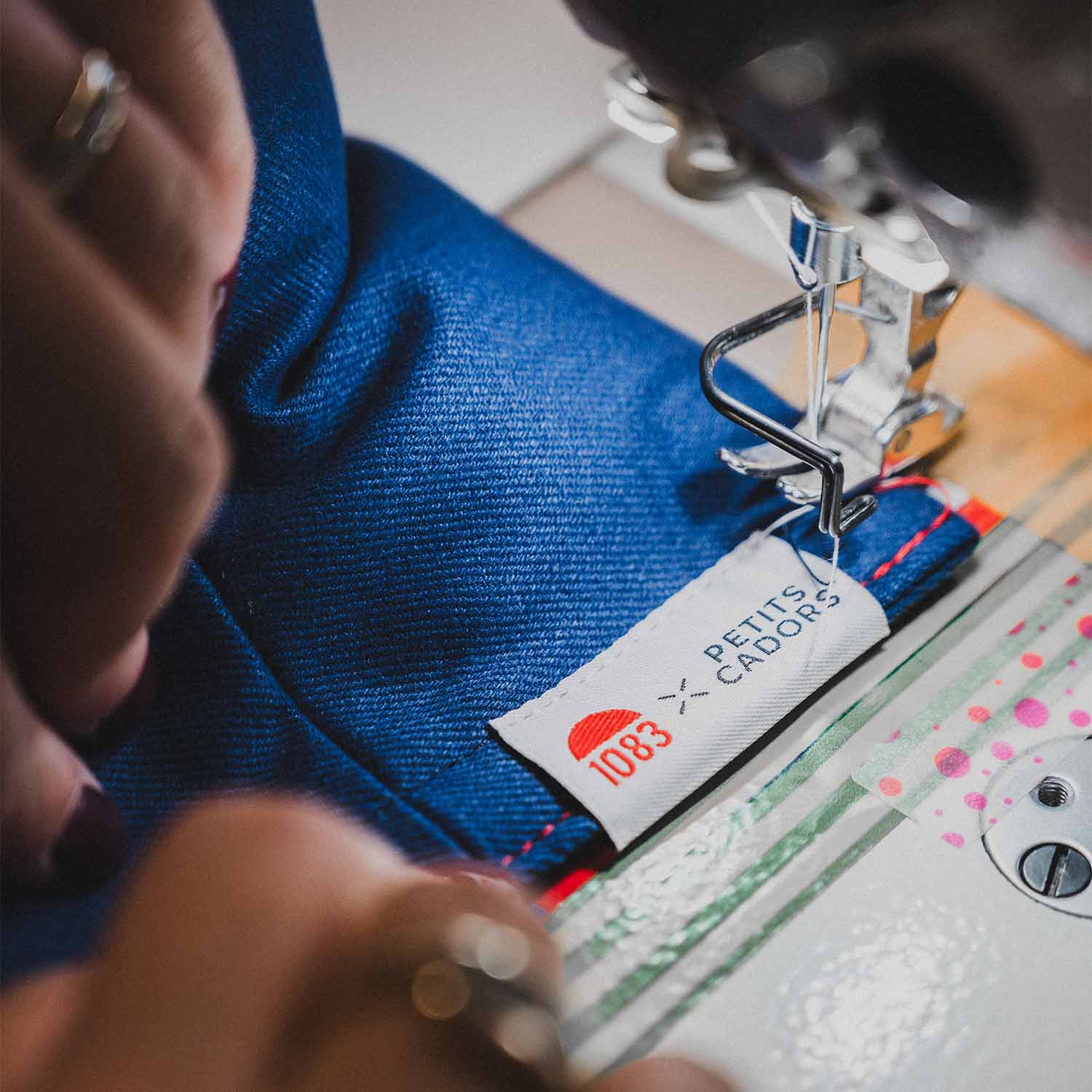 Coussin du quotidien · SALVADOR 1083 x Petits Cadors