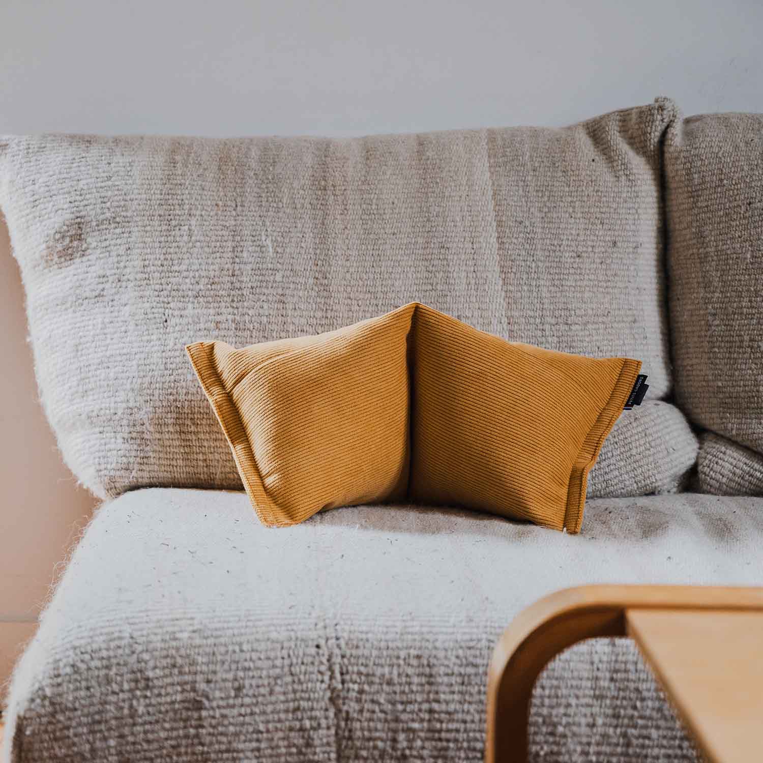 Coussin du quotidien · SALVADOR Stockholm (velours)