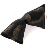 Coussin du quotidien · SALVADOR Philadelphie